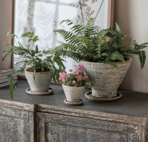 Ariella Planter - 3 Sizes